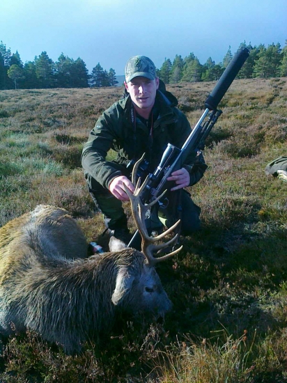 Kamaratov jelen v Škotsku