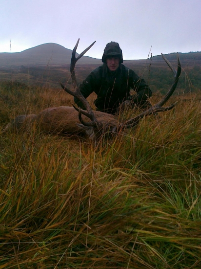 Kamaratov jelen v Škotsku 2