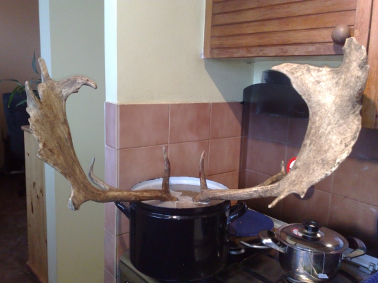 Rýýýchlo dokial sa manzelka vráti.