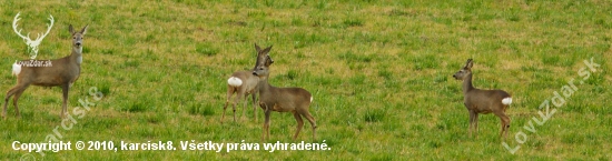 na vsetky strany