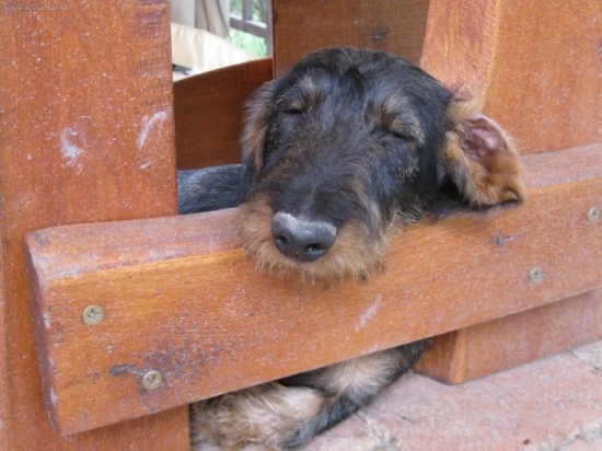 leňošenie pod altánkom