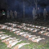 traja strelci za deň