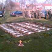výrad
