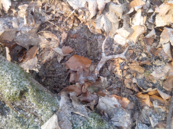 a že vraj nerastú :-)