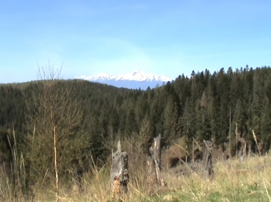 Tatry nase