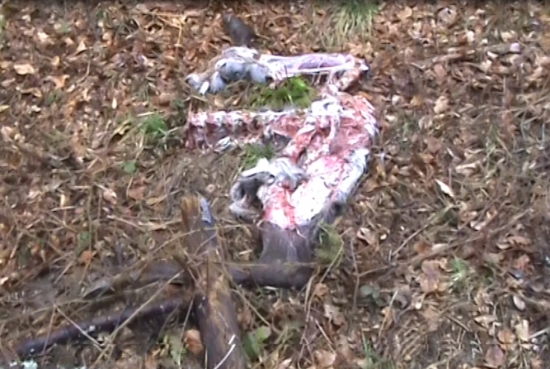 Zase trocha neskoro masa tam uz nebolo