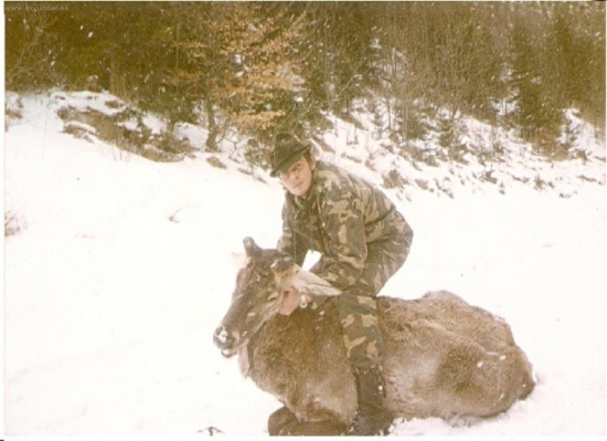 Vlci ho nedostali, ale neskôr aj tak uhynul.2/2