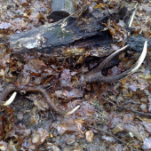 moje prvé v roku 2009