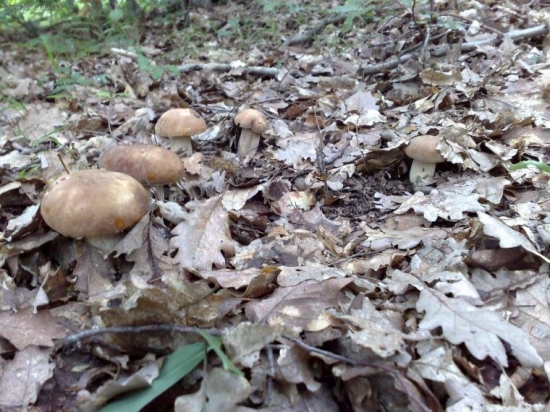 Takýto začiatok poteší každého !