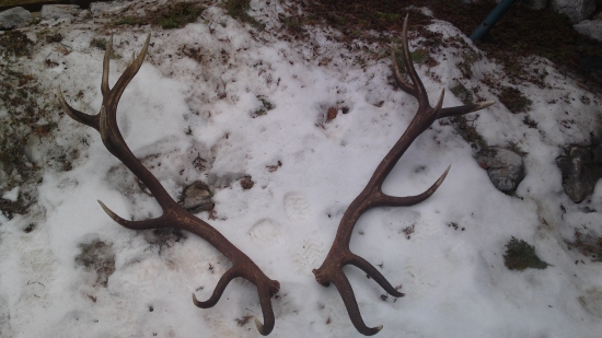 Nepravidelný 16-torák z Plešiveckej planiny, 190 b. CIC