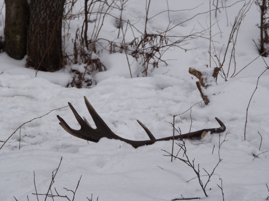 Konečne sa podarilo