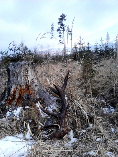 A predsa ešte jeden