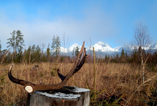 Ďalšie pekné ráno