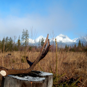 Ďalšie pekné ráno