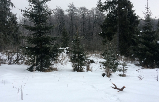 Zasneženou krajinkou