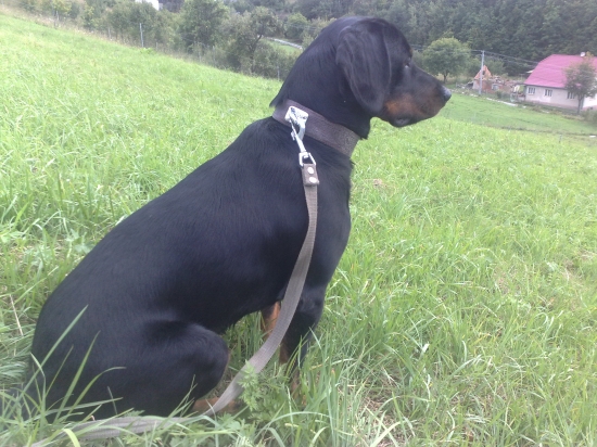 EROS  Lohyňa SD  Ic./176 bodov