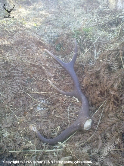 dnešny 12torak