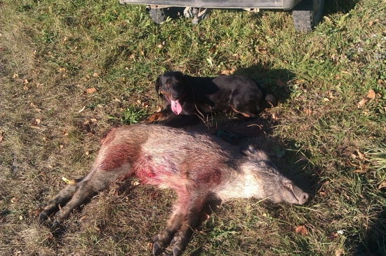 Erosova dalšia uspešna dohladavka