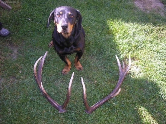 to boli moje prve v zivote 10torak