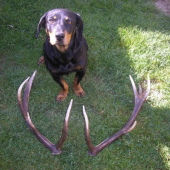 to boli moje prve v zivote 10torak