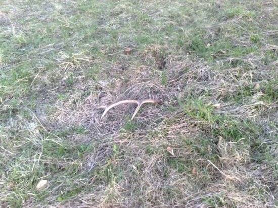 takto čakal celu nedelu