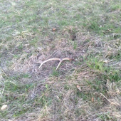 takto čakal celu nedelu