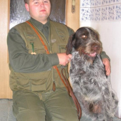 já a muj pes po návratu z JZV