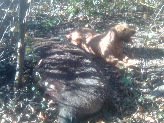 Uspešne dohladaný po 16 hodinách