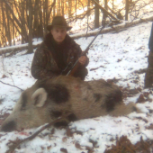 Lanštiak albín
