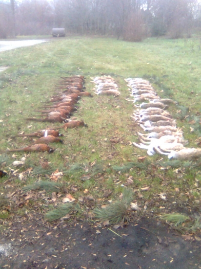 Poľovačka na drobnú v PZ-Mostová