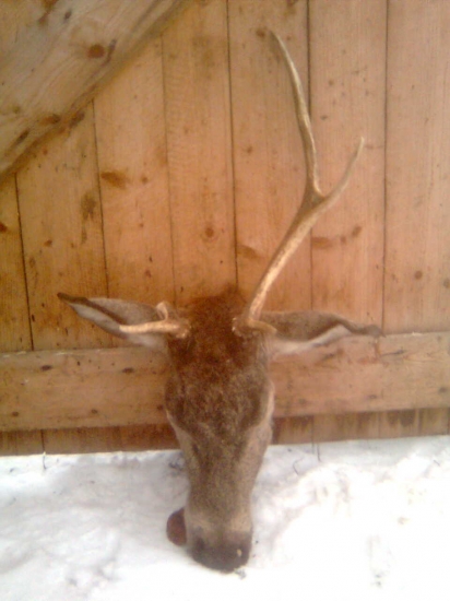 Poteší aj takáto trofej