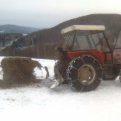 Dnešné prikrmovanie senažou