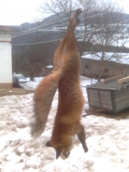 2 tento rok a aspoň 1 neni prašiva