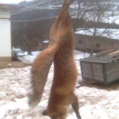 2 tento rok a aspoň 1 neni prašiva