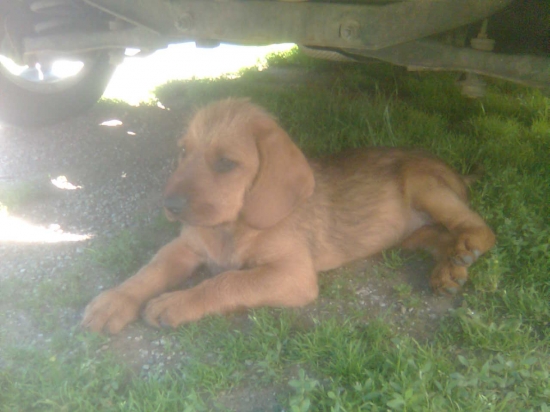 Nový prírastok do rodiny