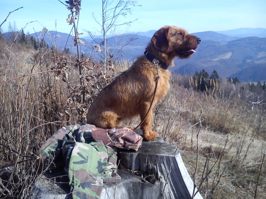 Nedeľná prechádzka