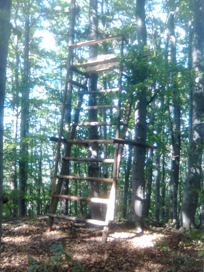 Sobotňajšia práca