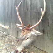 Včerajšia 2 vek.tr.