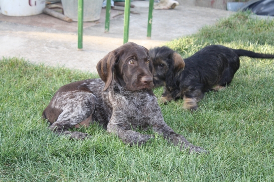 Axel od Hudeca a Demi zo Strašnej doliny