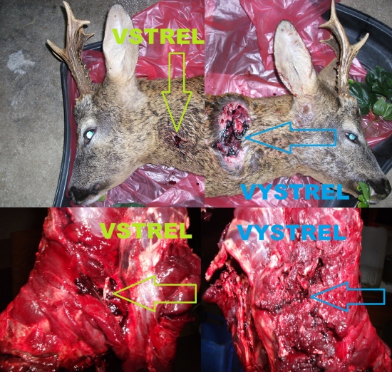 Norma Vulkan. 308Win