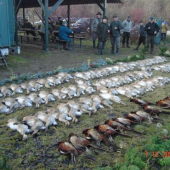 Aj takéto roky sme mali