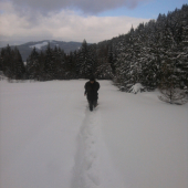 Dnes sme boli znova doplniť zásoby.