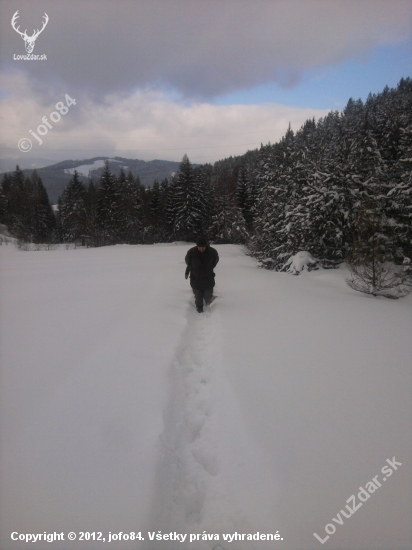 Dnes sme boli znova doplniť zásoby.