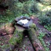 Solisko 2