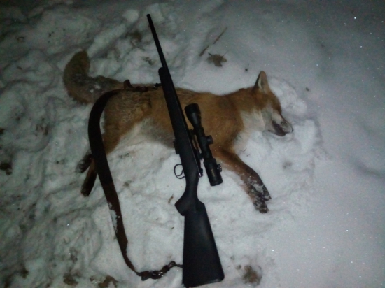 Nova cz 455 22WMR  pokrstena