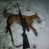 Nova cz 455 22WMR  pokrstena
