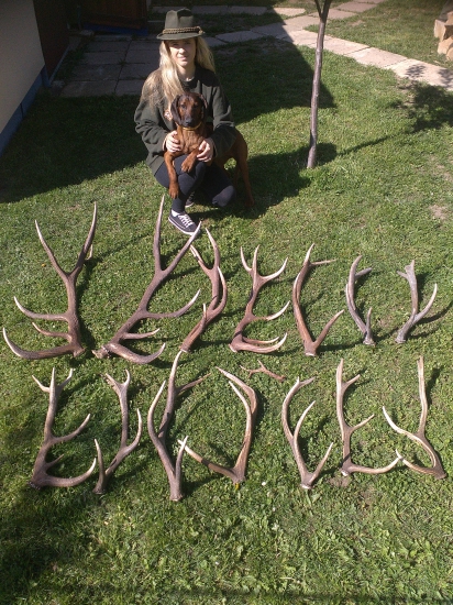 Na to že si nepoľovníci u nás z toho urobili národný šport tak sa dobre zadarilo.