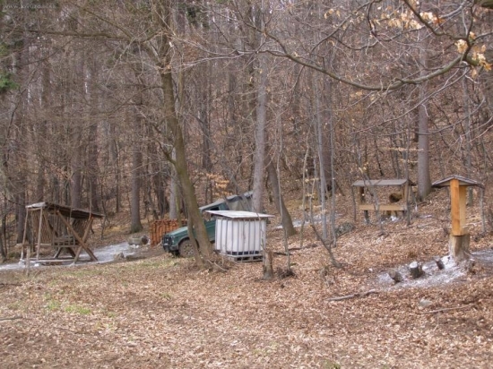 Jarne vyhrabovanie a dezinfekcia
