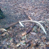 konecne sa po dlhej dobe zadarilo dnes rano