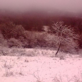 pohlad dnes rano z chaty